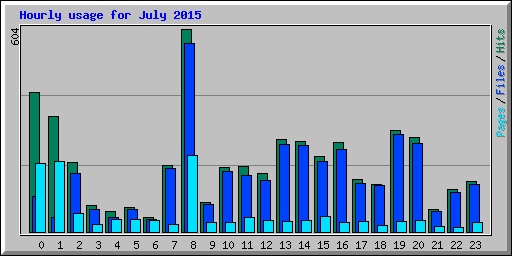 Hourly usage for July 2015